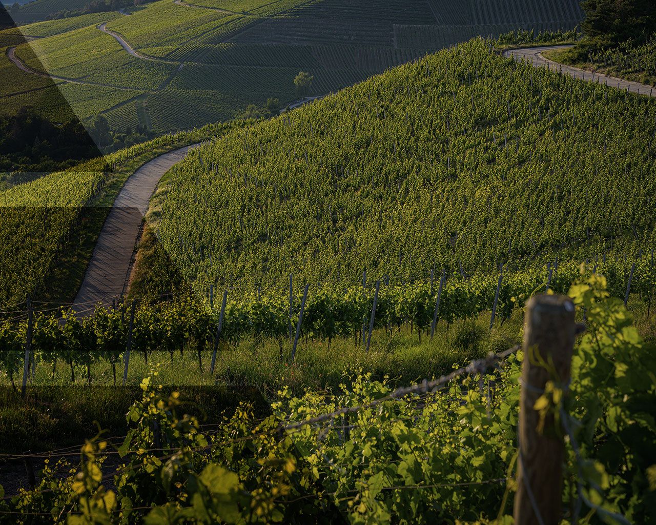 Esperienza in Franciacorta- Baluardo appartamenti Iseo